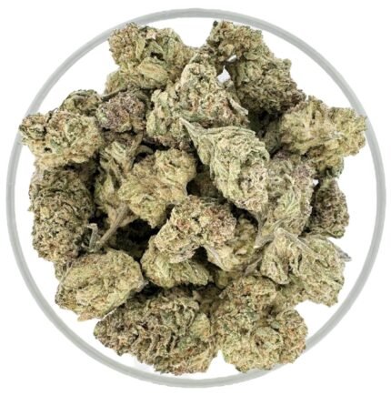 Bearly Legal 7G THCA Light Dep - Tropicana Cherry (30.62%)